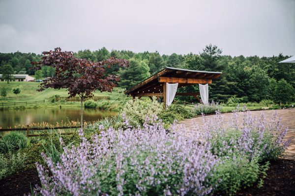 Spring flowers and the Pavilion