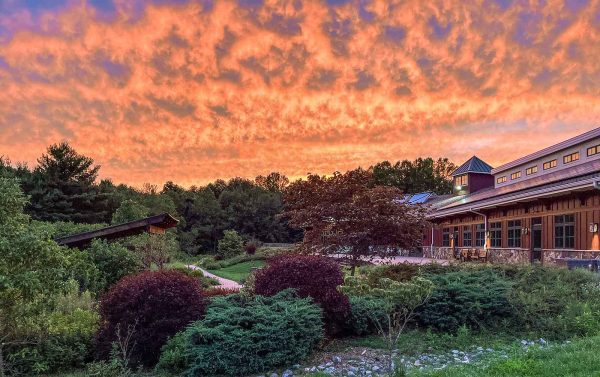 Sunset sky above the Hall's back garden