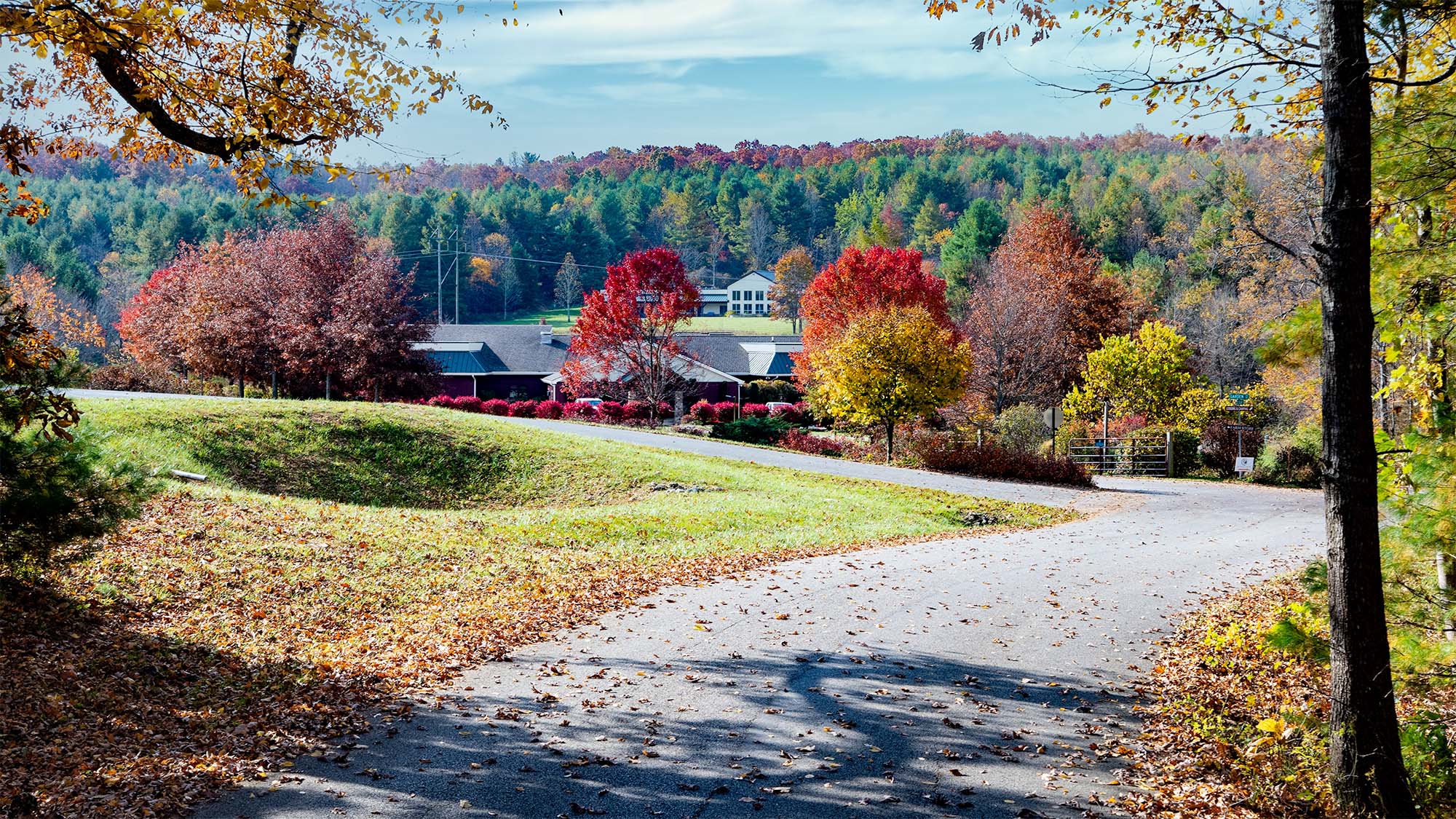 Driveway view of the campus in autumn.