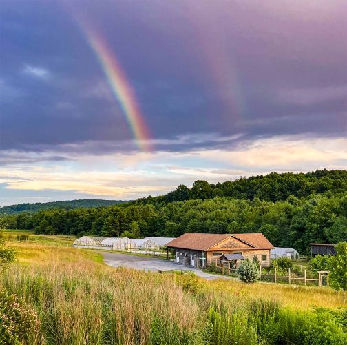 Rainbow over the garden & farm store