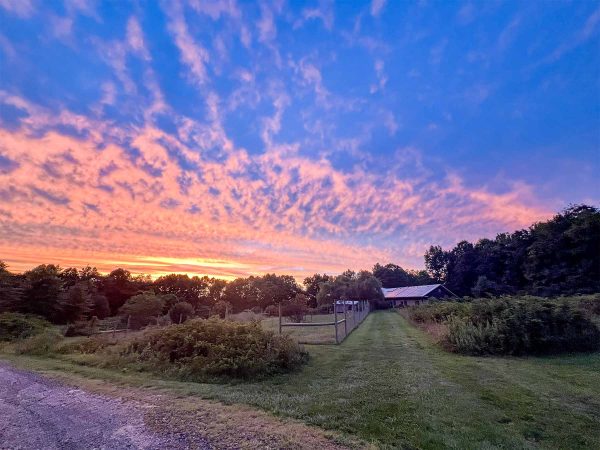 Sunset Skies over the chicken coops and flower garden