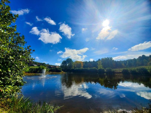 A trail view of the pond